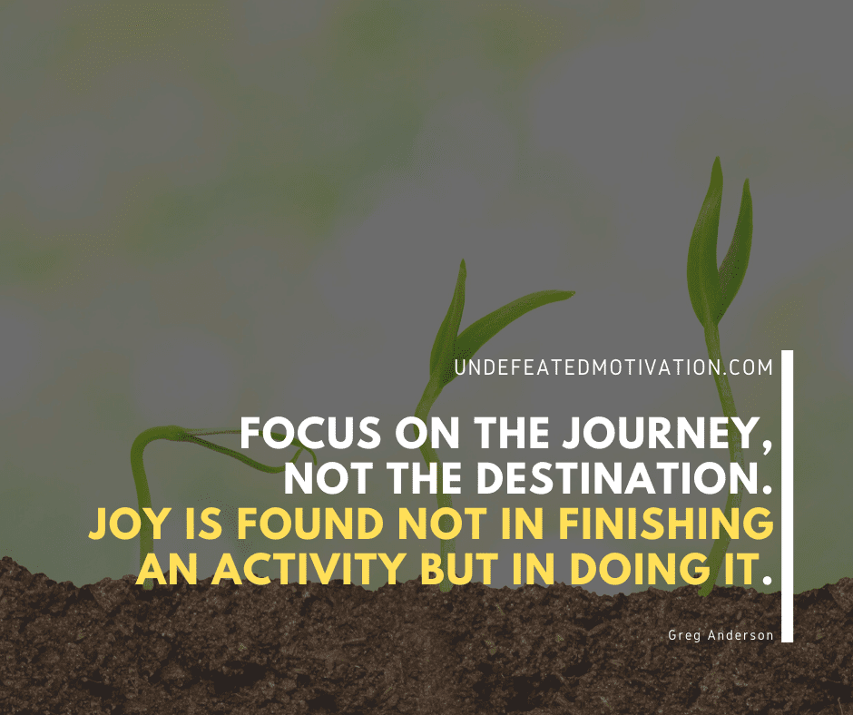 "Focus on the journey, not the destination.  Joy is found not in finishing an activity but in doing it."  -Greg Anderson  -Undefeated Motivation