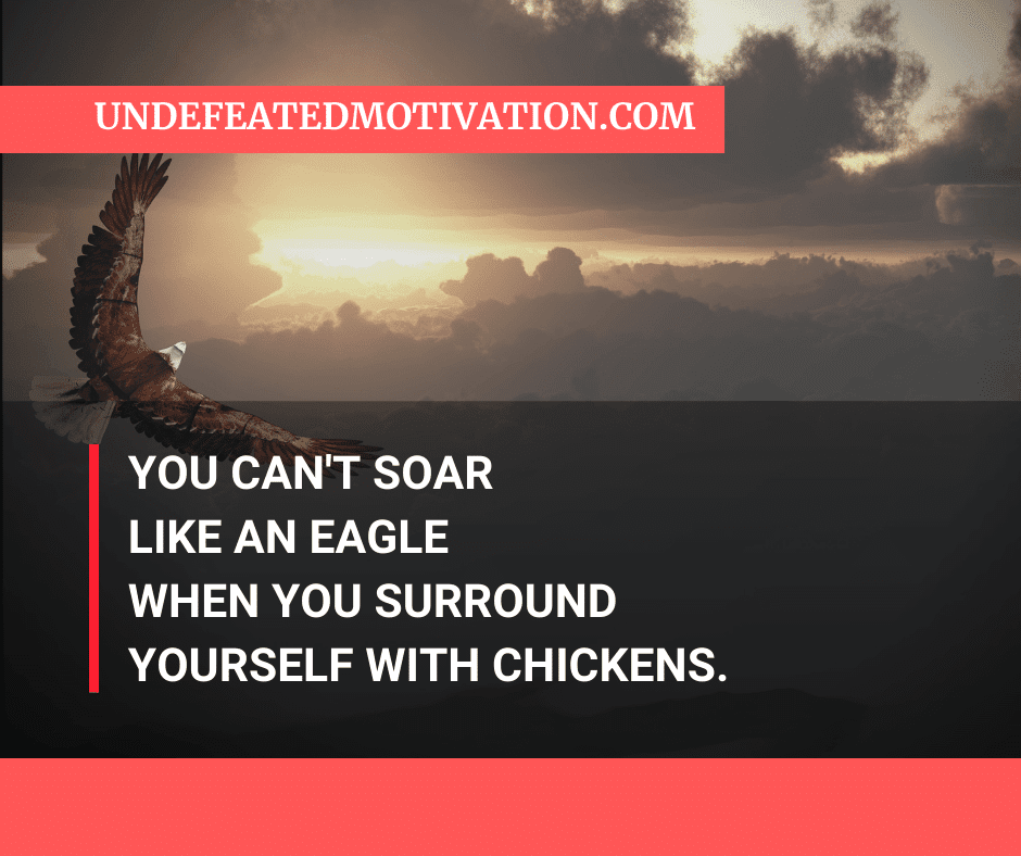 "You can't soar like an eagle when you surround yourself with chickens."  -Undefeated Motivation
