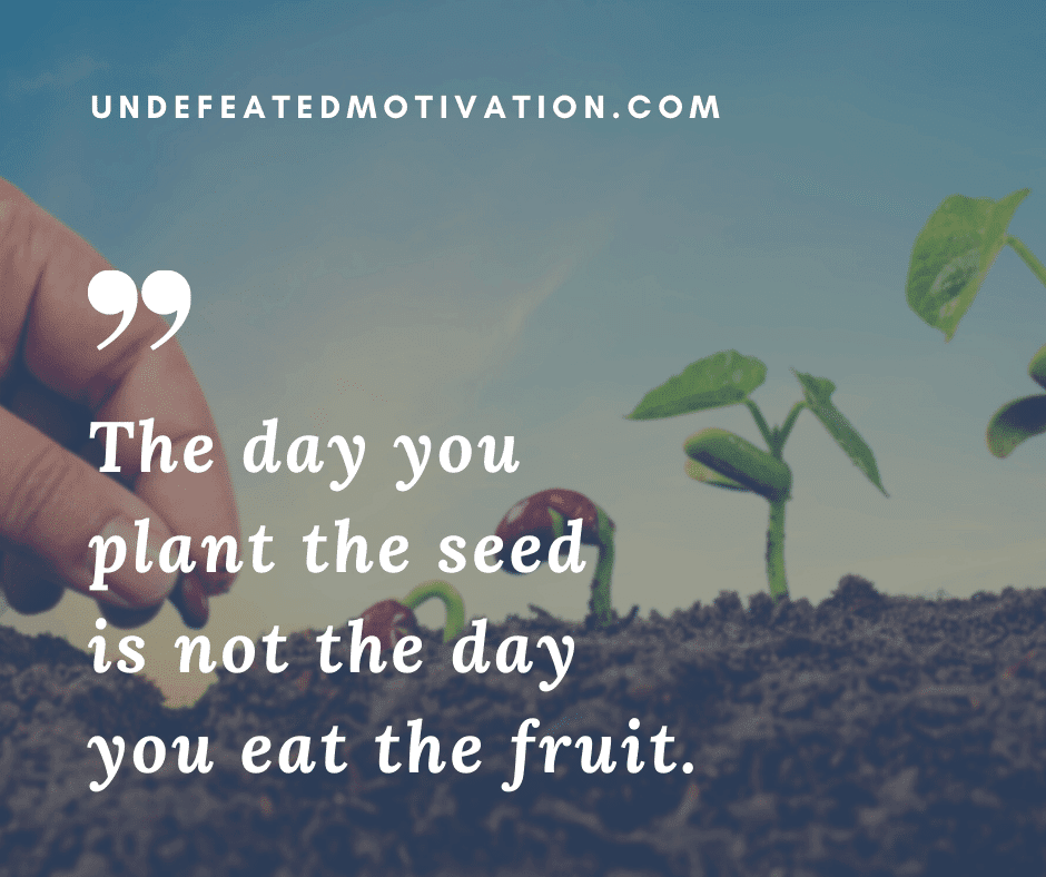 "The day you plant the seed is not the day you eat the fruit."  -Undefeated Motivation