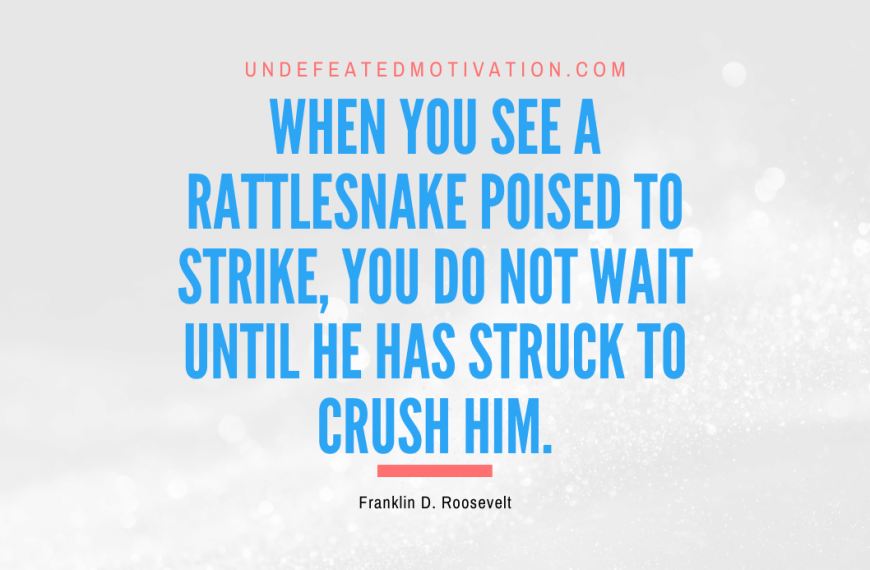 “When you see a rattlesnake poised to strike, you do not wait until he has struck to crush him.” -Franklin D. Roosevelt