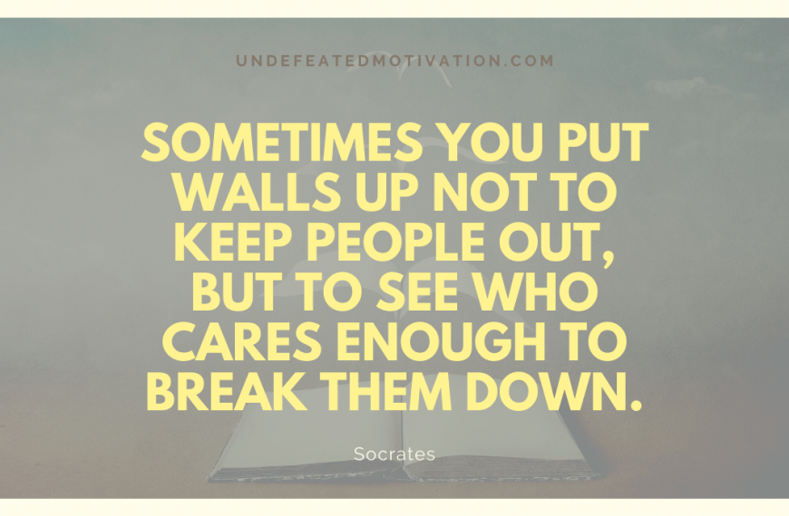 “Sometimes you put walls up not to keep people out, but to see who cares enough to break them down.” -Socrates