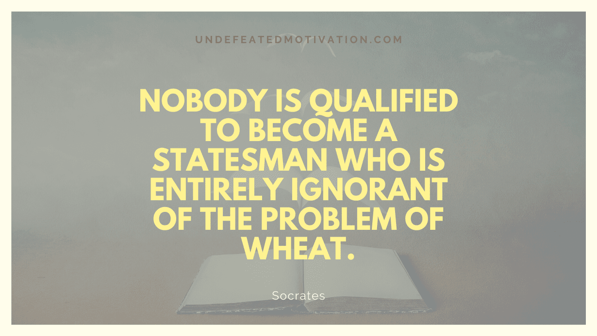 "Nobody is qualified to become a statesman who is entirely ignorant of the problem of wheat." -Socrates -Undefeated Motivation