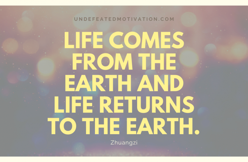 “Life comes from the earth and life returns to the earth.” -Zhuangzi