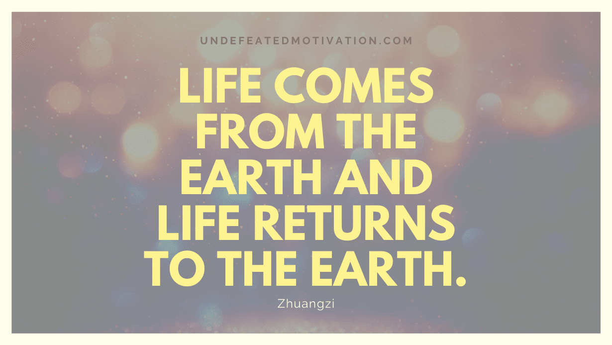 "Life comes from the earth and life returns to the earth." -Zhuangzi -Undefeated Motivation