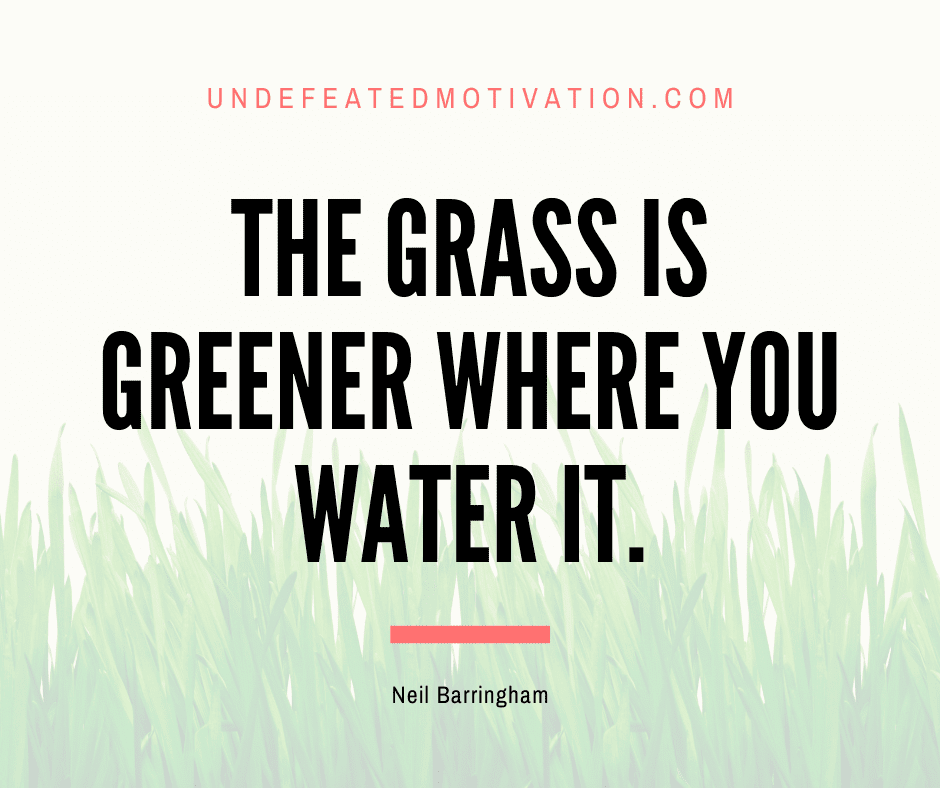 undefeated motivation post The grass is greener where you water it. Neil Barringham