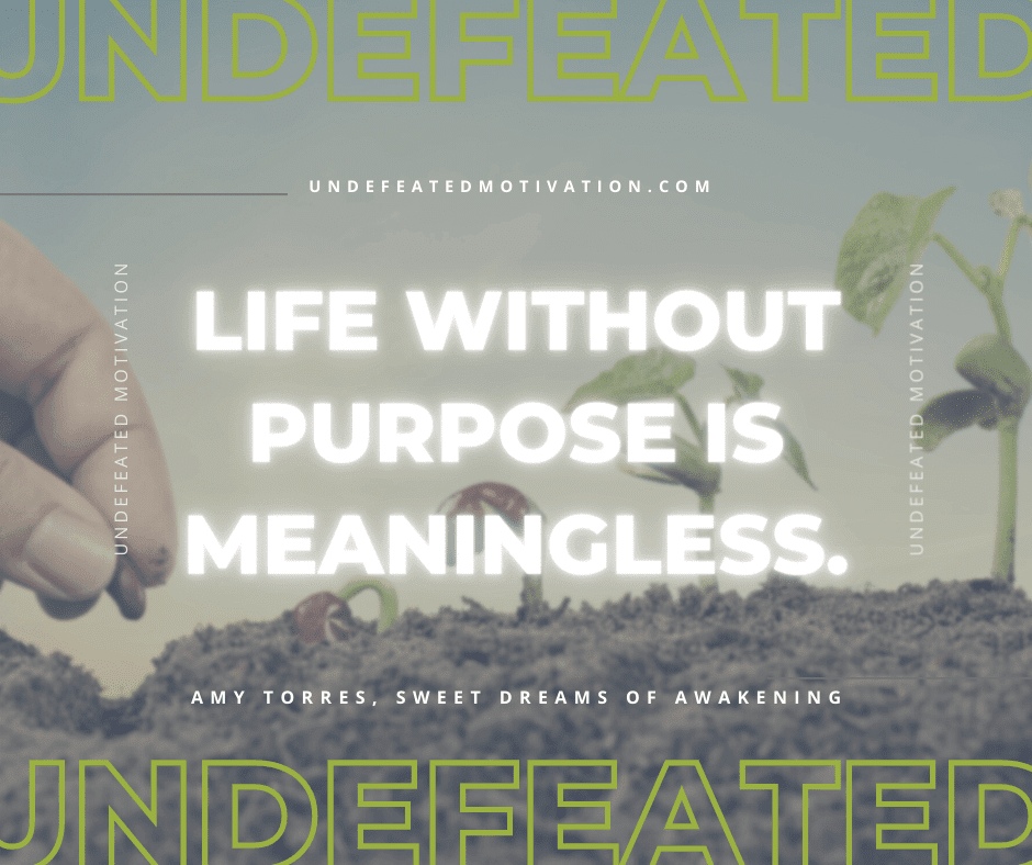undefeated motivation post Life without purpose is meaningless. Amy Torres Sweet Dreams of Awakening