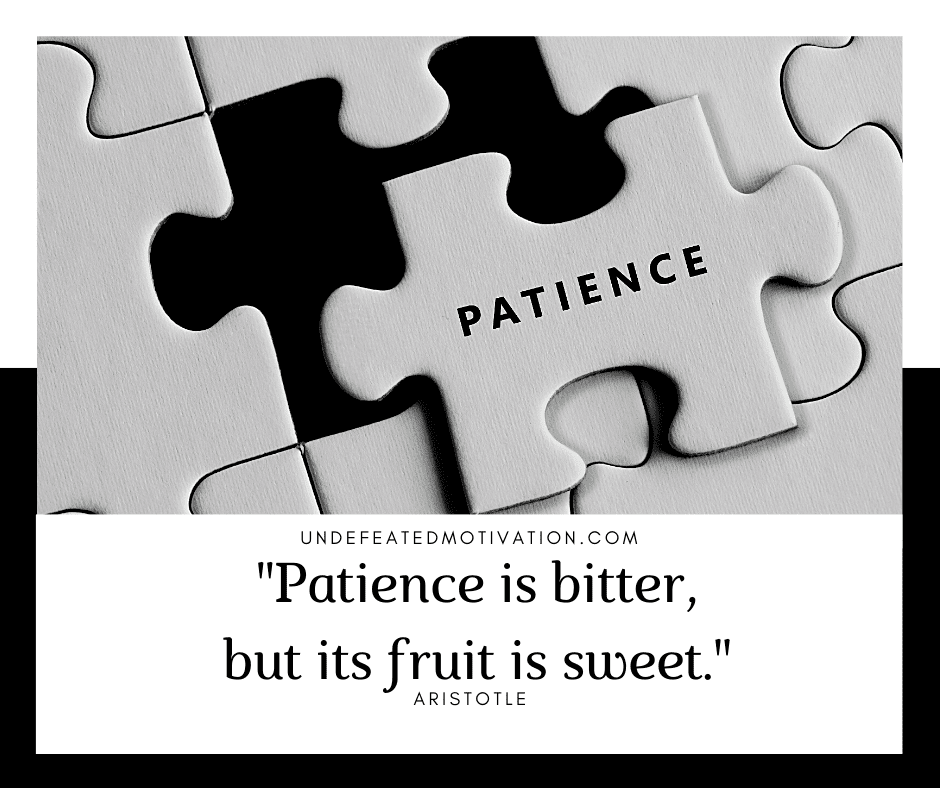 undefeated motivation post Patience is bitter but its fruit is sweet. Aristotle