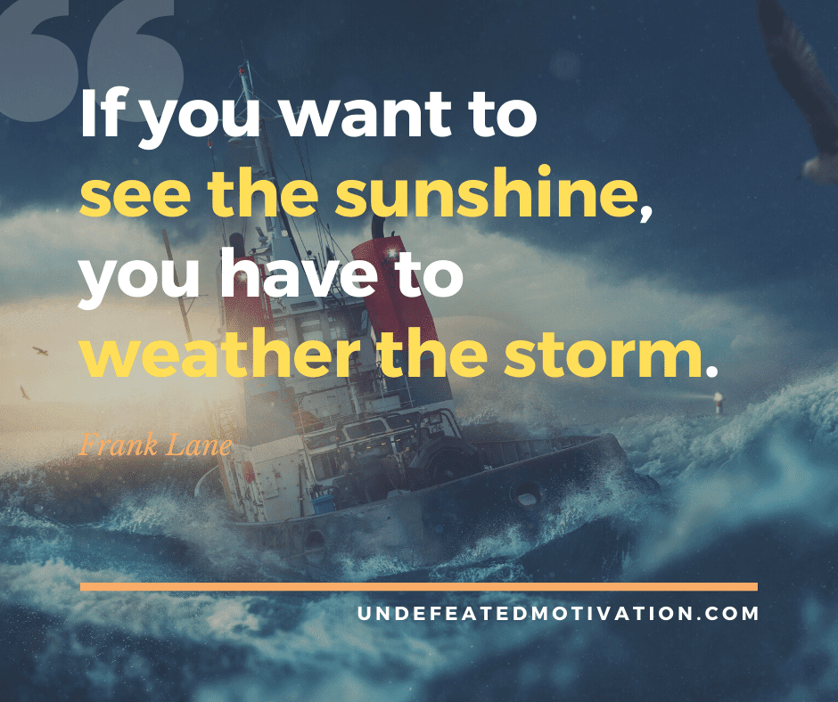 undefeated motivation post If you want to see the sunshine you have to weather the storm. Frank Lane