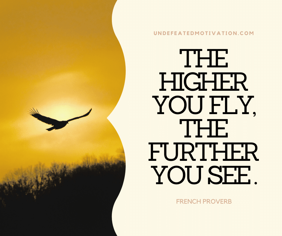 undefeated motivation post The higher you fly the further you see. French Proverb
