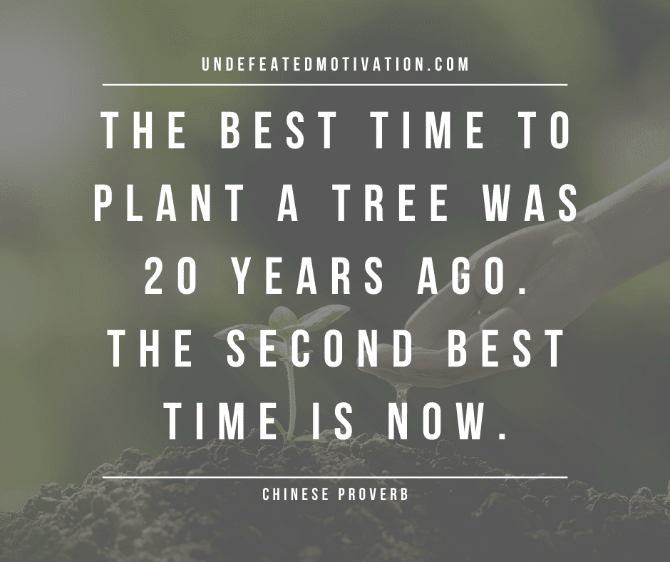 undefeated motivation post The best time to plant a tree was years ago. The second best time is now. Chinese Proverb