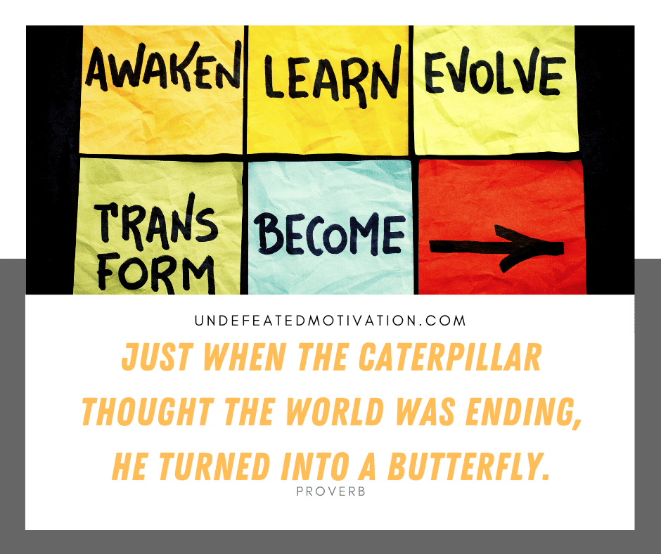 undefeated motivation post Just when the caterpillar thought the world was ending he turned into a butterfly. Proverb