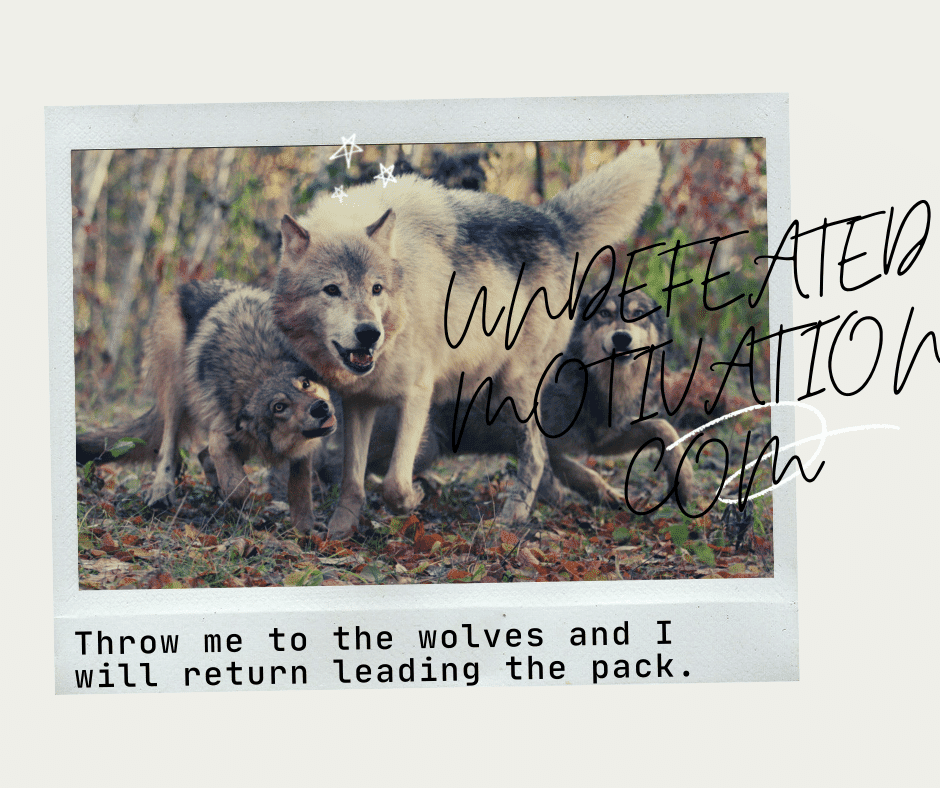 undefeated motivation post Throw me to the wolves and I will return leading the pack.