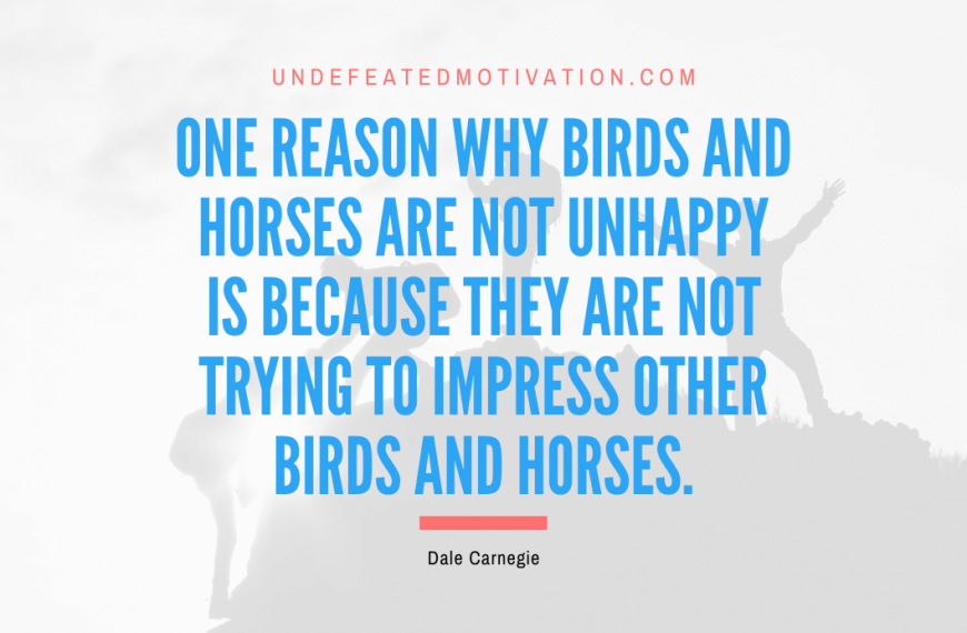 “One reason why birds and horses are not unhappy is because they are not trying to impress other birds and horses.” -Dale Carnegie