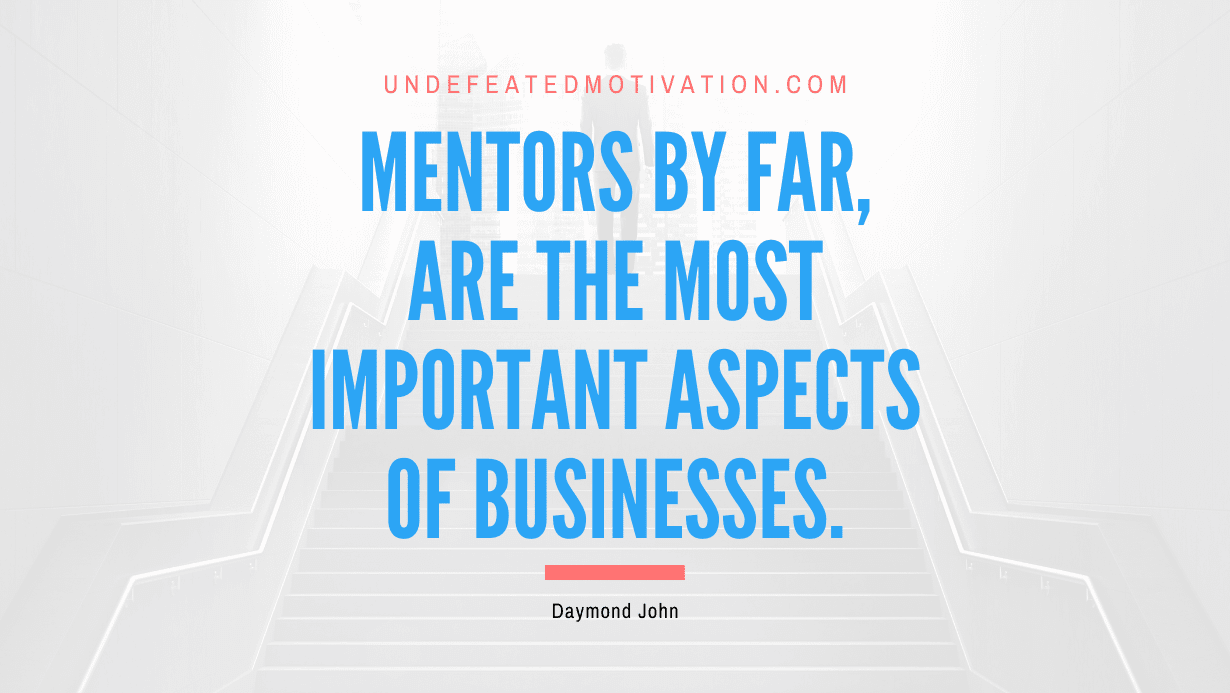 “Mentors by far, are the most important aspects of businesses.” -Daymond John