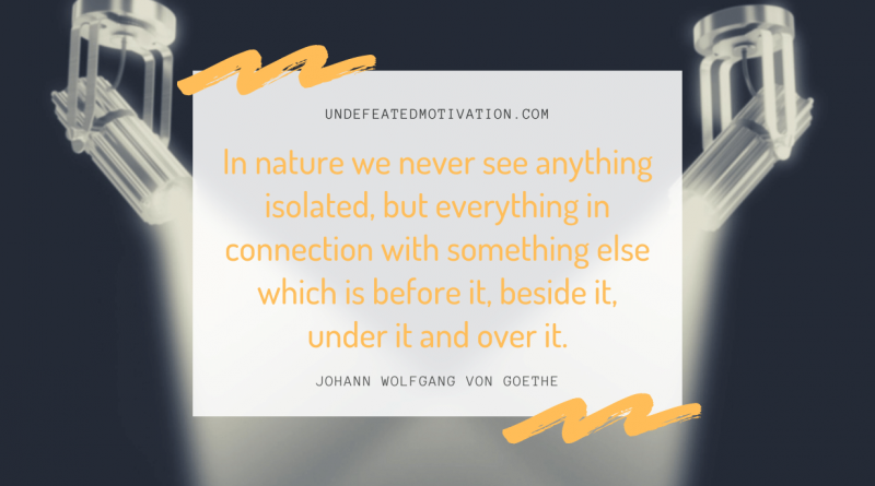"In nature we never see anything isolated, but everything in connection with something else which is before it, beside it, under it and over it." -Johann Wolfgang von Goethe -Undefeated Motivation