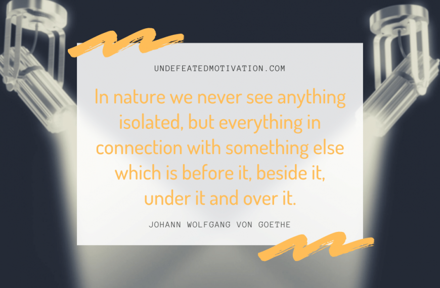 “In nature we never see anything isolated, but everything in connection with something else which is before it, beside it, under it and over it.” -Johann Wolfgang von Goethe