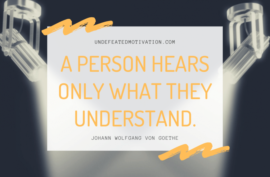 “A person hears only what they understand.” -Johann Wolfgang von Goethe