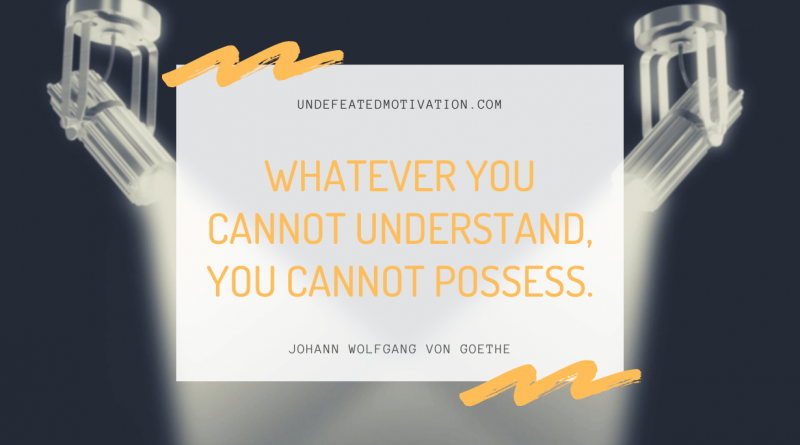 "Whatever you cannot understand, you cannot possess." -Johann Wolfgang von Goethe -Undefeated Motivation